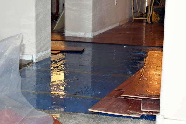 Professional Water Damage Restoration technician working in Troy, TX